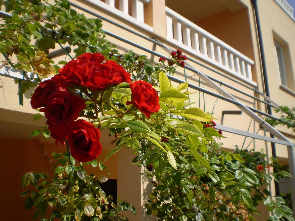Apartments Tare, Free Parking Vodice Habitación foto